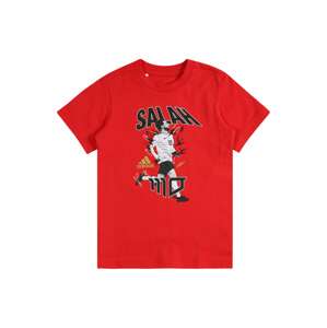 ADIDAS PERFORMANCE Funkční tričko  šedá / červená / černá / bílá