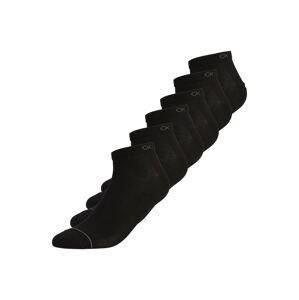 Calvin Klein Underwear Ponožky 'THOMAS'  černá / šedá