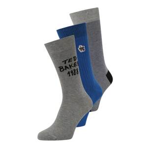 Ted Baker Ponožky 'GREYONE'  modrá / modrý melír / šedá