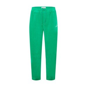Tommy Jeans Kalhoty  trávově zelená / bílá