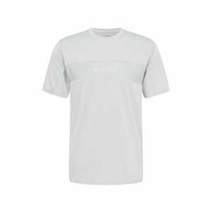 Calvin Klein Performance Funkční tričko  šedá / světle šedá