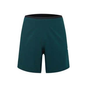Reebok Sport Sportovní kalhoty tmavě zelená / černá / stříbrná