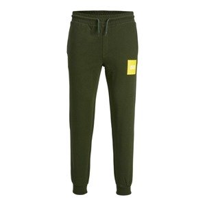 Jack & Jones Plus Kalhoty 'Gordon Lock' žlutá / zelená
