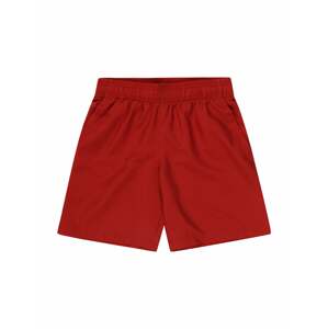 UNDER ARMOUR Sportovní kalhoty  červená / světle červená