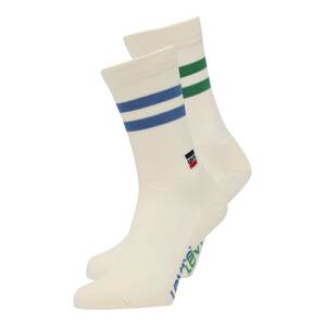 LEVI'S Ponožky  modrá / zelená / bílá